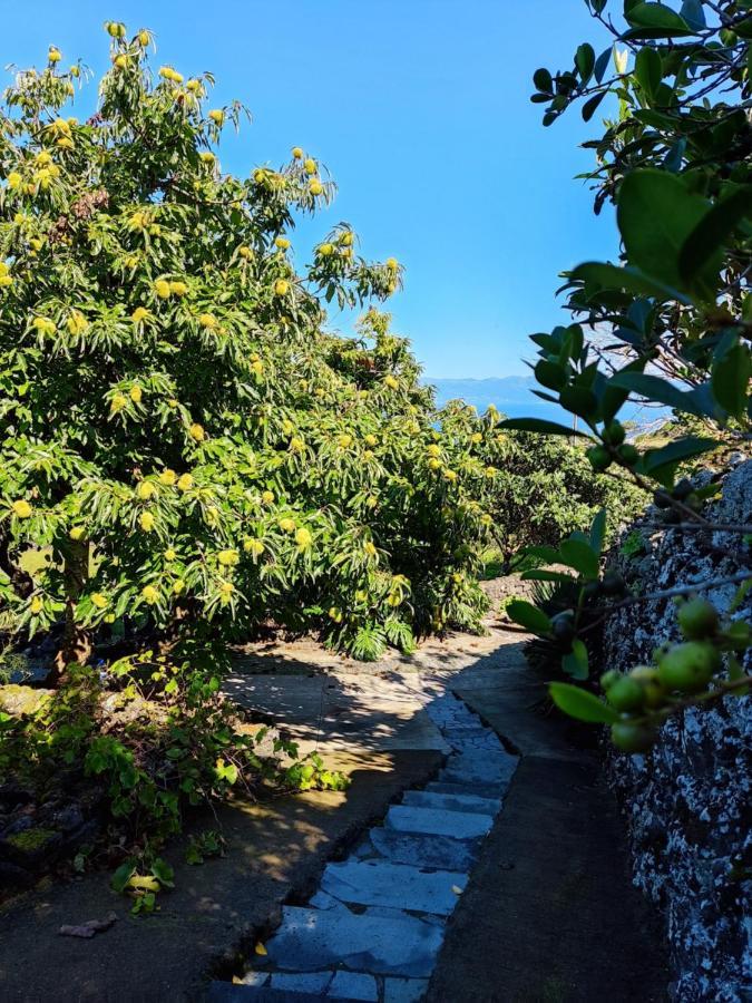 A Fonte Daire Santo Antonio  Dış mekan fotoğraf
