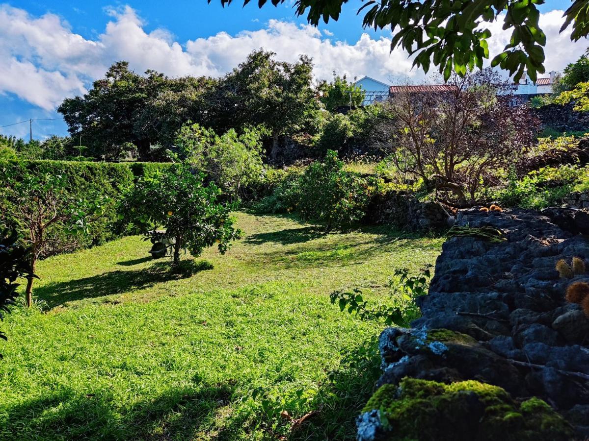 A Fonte Daire Santo Antonio  Dış mekan fotoğraf